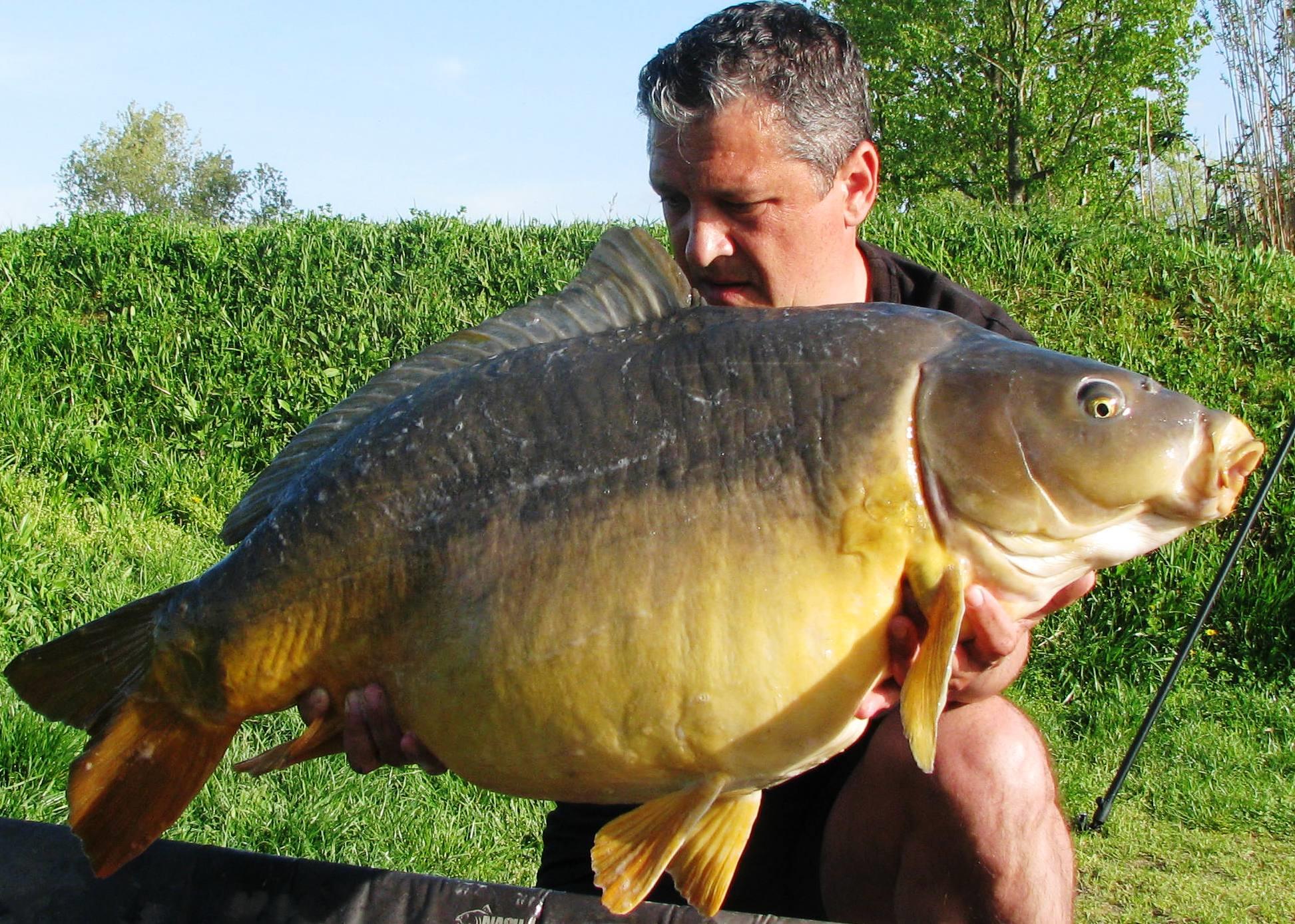 Pelagicevo Jezero  aprilie 2015 - img2052.JPG